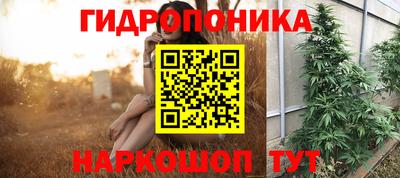 стаф Ливны